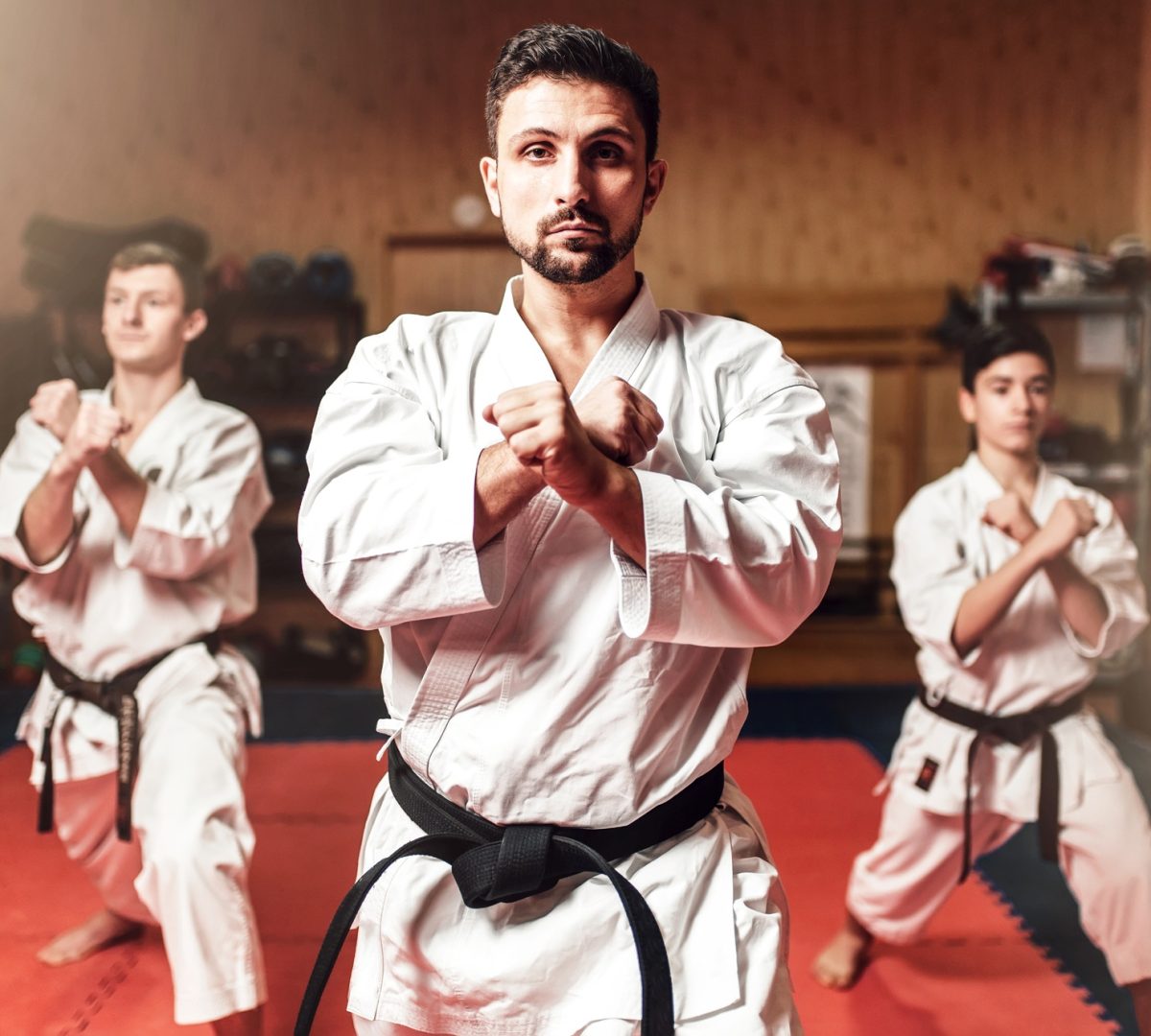 Martial arts fighters hone their skills